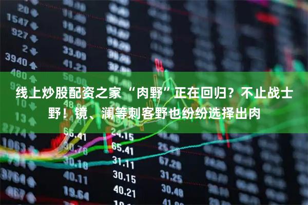线上炒股配资之家 “肉野”正在回归？不止战士野！镜、澜等刺客野也纷纷选择出肉
