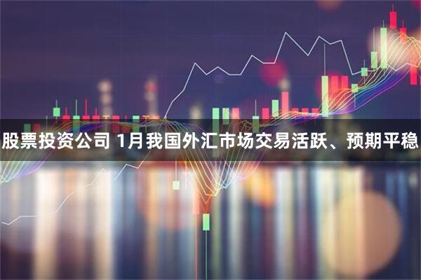 股票投资公司 1月我国外汇市场交易活跃、预期平稳